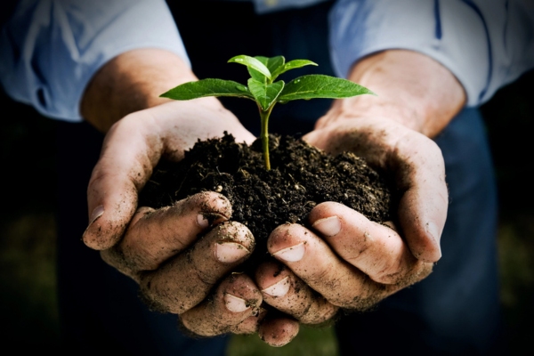 hand holding soil with sprout depicting environmentally friendly propane