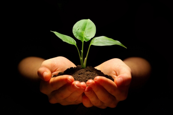 hand holding soil with plant sprout depicting cleaner energy