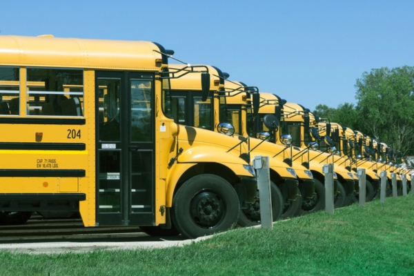 image of school buses parked in a row