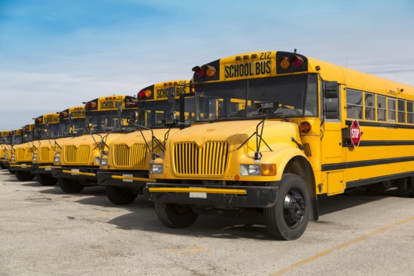 school bus fleet parked beside each other