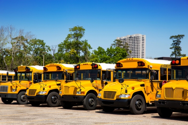school bus fleet parked in a row