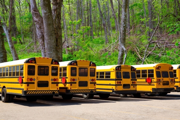school bus fleet